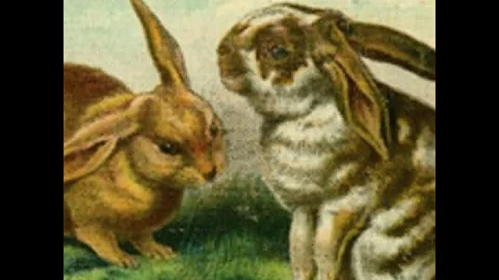 Bunny Brothers by Jacqueline CLAYTON read by Vario...