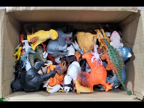 เปิดกล่องโชวของเล่นโมเดลสัตว์ เยอะมาก มาดูกัน Open the animal model toy box.There's a lot in the box
