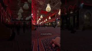 رغم احلم انام بالصحن ليله #edit #explore #youtubeshorts #shorts #رغم_احلم_انام_بالصحن_ليله #لايك