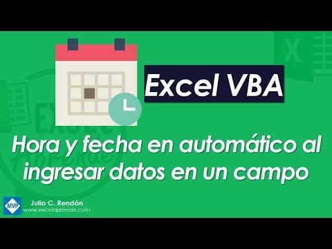 Video: ¿Cómo se llaman los datos ingresados en un campo?