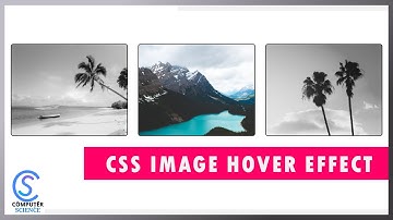 Css Image Hover Effect - How To Create Image Hover Overlay Effects | HTML CSS | Computer Science