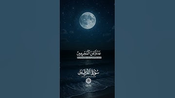 اكتب شئ تؤجر عليه 🖤🎧 /القارئ عبد الرحمن مسعد
