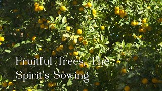 414 SDA Hymnal - Fruitful Trees, The Spirit's Sowing (Singing w/ Lyrics)