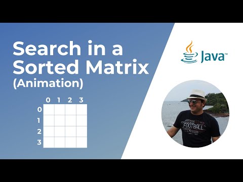 Search in a row and column wise sorted matrix | Animation