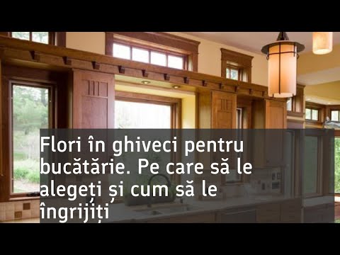 Flori pentru bucătărie: ce sunt potrivite, combinație de culori, în interior, sfaturi de îngrijire,