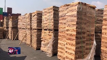 Tạm giữ trên 100 container gỗ xuất khẩu trốn thuế