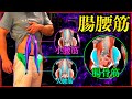 【筋トレ】腸腰筋のすべてを置いてきた動画。