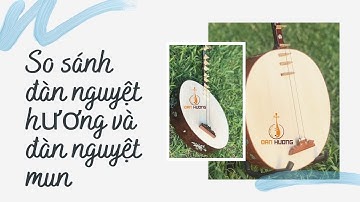 So sánh 2 cây đàn nguyệt gỗ hương và đàn nguyệt gỗ mun - Đàn Hương