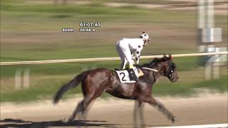 Vidéo de la course PMU PREMIO MANSO HANDICAP