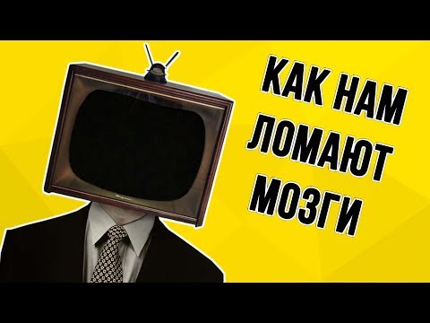 Укус мегалодона vs человек — сила челюстей 108–180 тысяч Ньютонов и её последствия