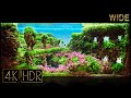 [Wide] Fantasy Valley | Aquascape • Fixed 3hours 4K HDR 60fps • Water sound • Ultra Wide