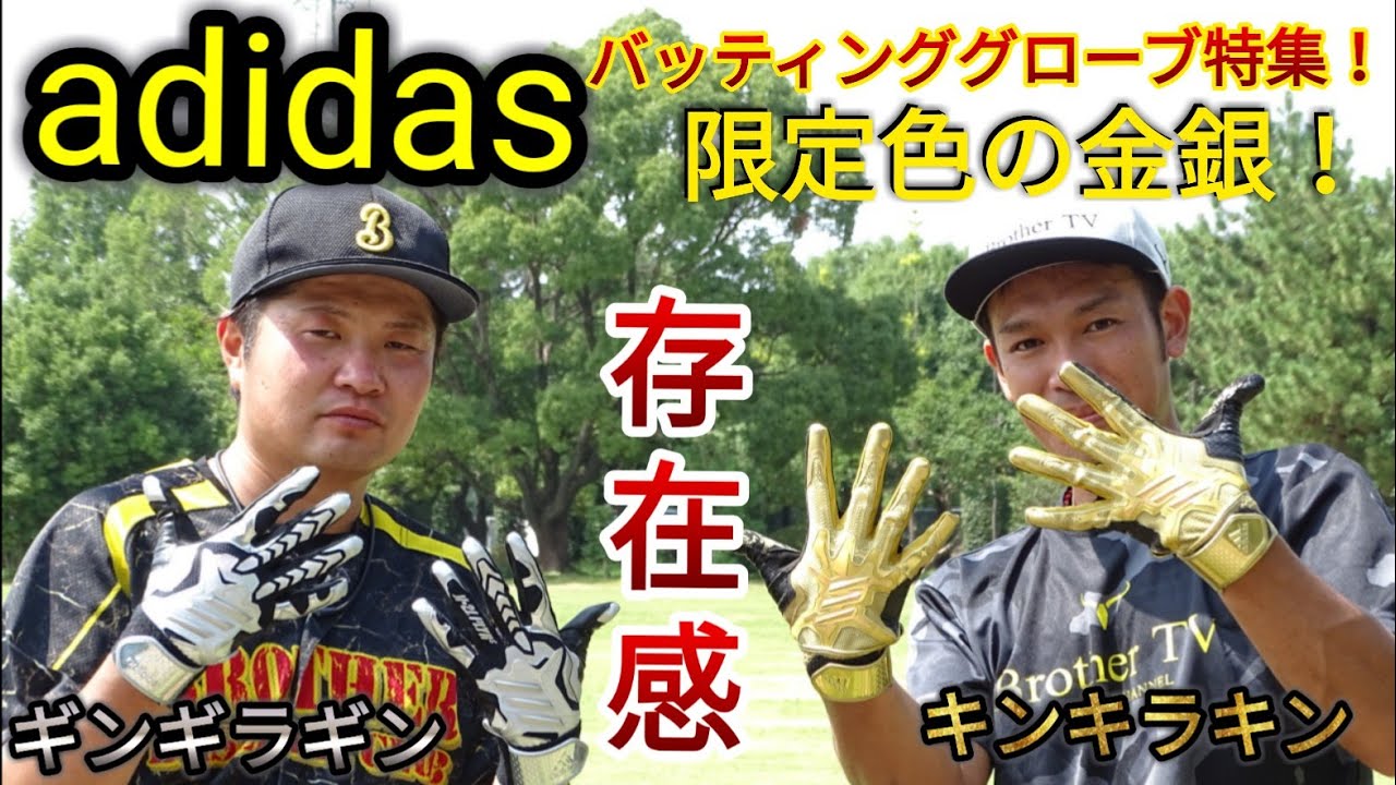 激レア アーロン ジャッジ 支給 実使用 かすま バッティンググローブ  