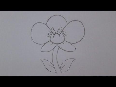 Video: Paano Gumuhit Ng Isang Orchid