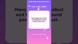 Dog Trivia Time