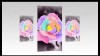 Hazırlayan Türk Oglu Birde Sen Vurma Zalim