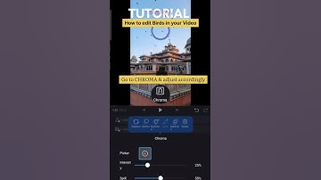 How to edit birds in your video vn application #vn #kinemaster #lightroom