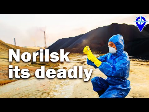 วีดีโอ: พื้นที่ใดของมอสโกที่มีมลพิษมากที่สุด