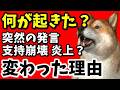 【炎上】フィフィ発言で露呈した“社会の分断”…ビジネス保守とその本質とは