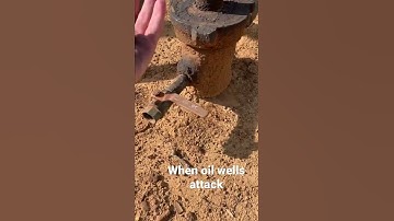 Oil well run first time in 4 years