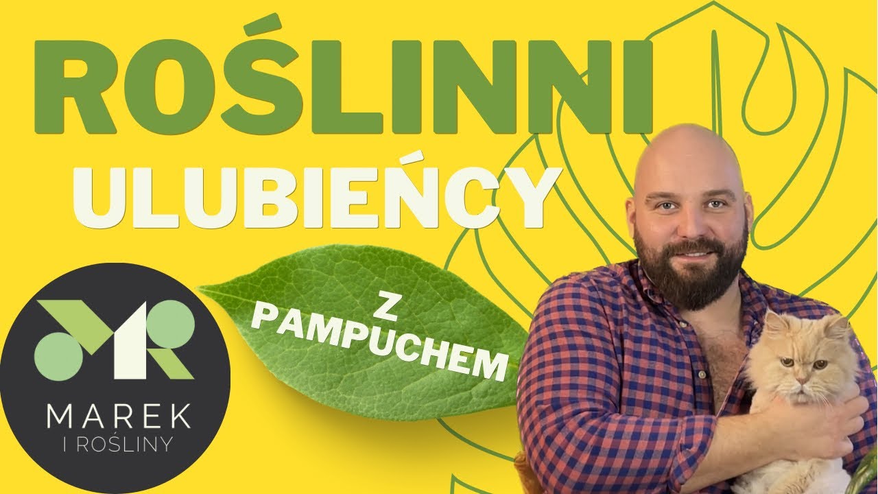 Roślinni ulubieńcy i okazje cenowe z Pampuchem w nowej fryzurze😿