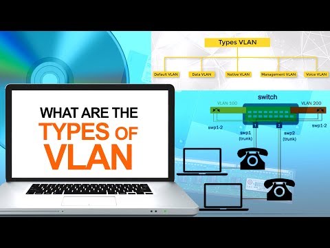 What are the Types VLAN | Computer & Networking Basics for Beginners | Computer Technology Course