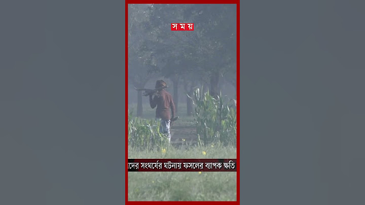 চাঁপাইনবাবগঞ্জের সীমান্ত পরিস্থিতি স্বাভাবিক | Bangladesh-India border | Chapainawabganj | Somoy TV