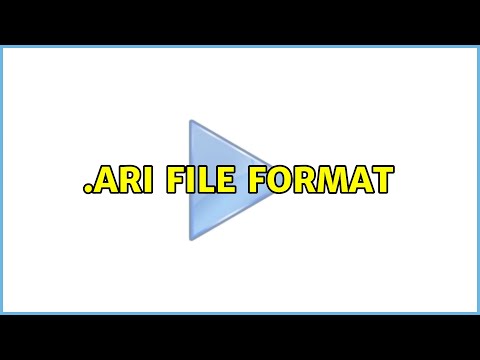 .ARI File Format