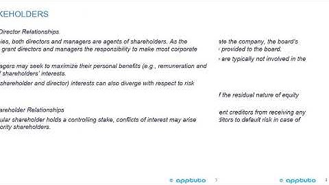 describe principal–agent and other relationships in corporate governance and...
