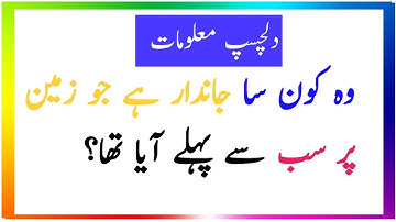 #urdu riddles#GK#Qiuz#MCQ#UrduQuiz#urdu Riddles#Amazing Facts#Islamic Quiz#Paheli#Riddle##MCQs#IQ