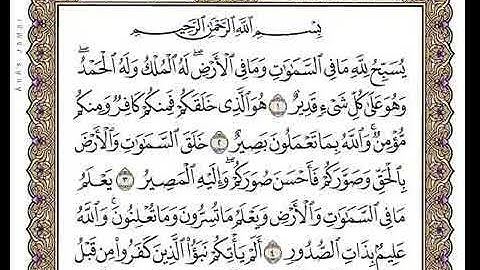 سورة التغابن بصوت القارئ وديع يمني