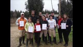 Movie Maker De Mantagua 2007