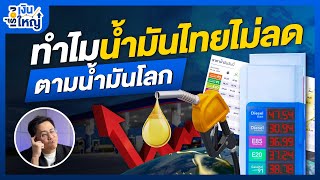 ทำไมน้ำมันไทยแพง ไม่แคร์น้ำมันโลกลง | Money Buffalo