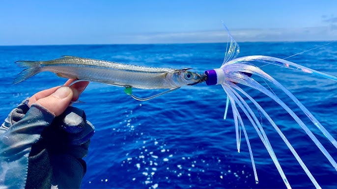 Reef Brawlers  Trolling deep diving lures REALLY WORKS! 