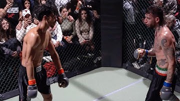 BAD BOY vs ALLIGATOR CHAMP !!! RIOBET 2024