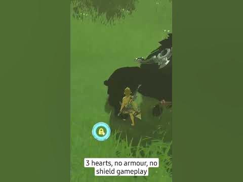 I started TotK but still side hustle on BoTW to farm Lynels