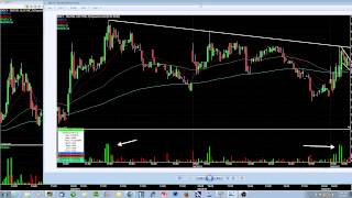 Want to Improve Your Trading? STOP GUESSING!!