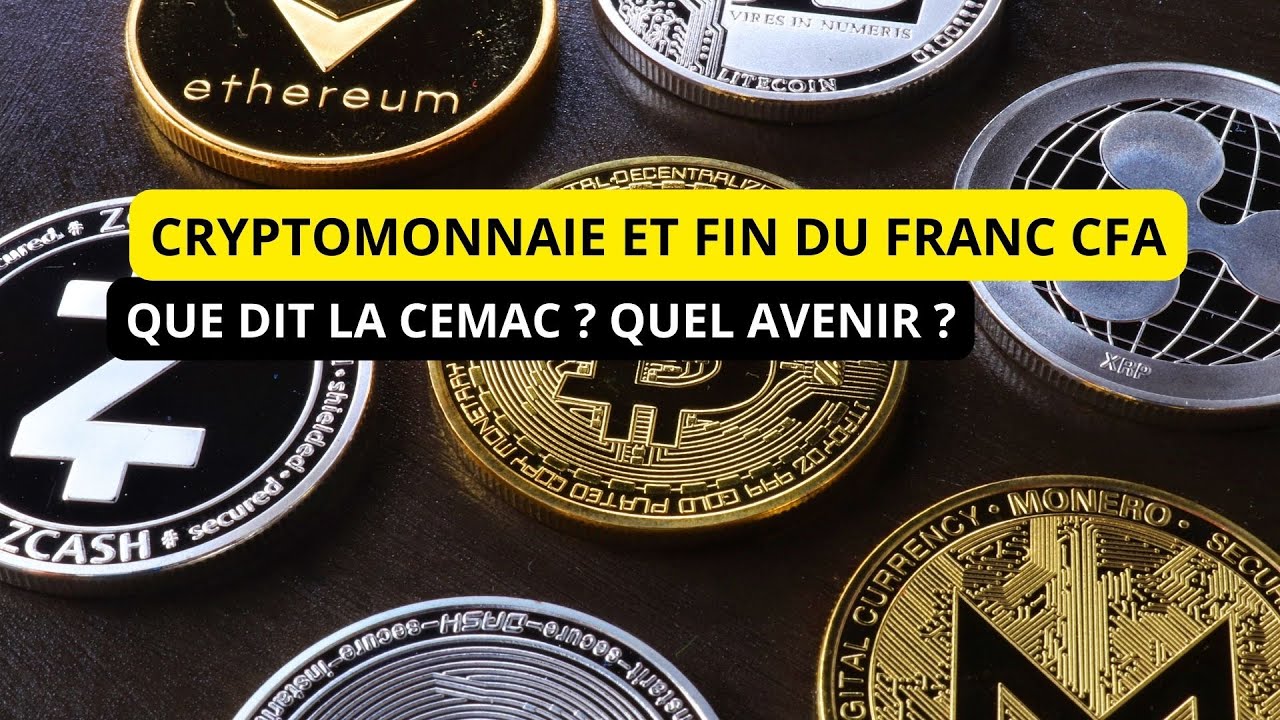 Cryptomonnaie au Cameroun et en Afrique , quel avenir par rapport au franc  cfa ?