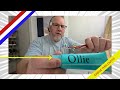 Ollie Fluoride Free 10% Hydroxyapatite Toothpaste