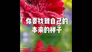 201511 你要找到自己的本来的样子21245