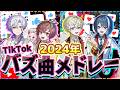 【TikTokバズ曲メドレー2024】実力派新人歌い手グループが今年のバズ曲をメドレーにして歌ってみた！#歌ってみた