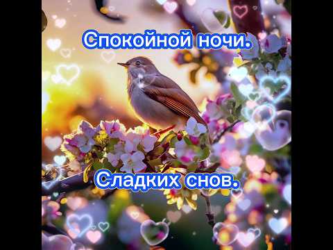 Спокойной ночи. #2024 #пожелания #реки