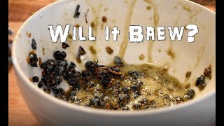 Will it Brew? Collecting Wild Yeast from Elderberry by The Northwest Forager 8,667 views 6 years ago 4 minutes, 8 seconds