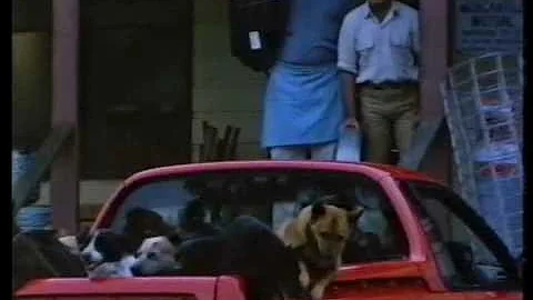 Holden Ute Aussie car ad 'every man & his dog will love it'
