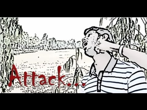 Attack__(kAAktAruA)