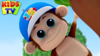 Animal Habitat Song | Junior Squad | Nursery Rhymes for Babies - Kids TV