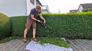 Satisfying Accurate Pruning Of A Privet Hedge