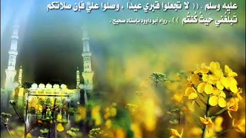 أروع واخشع ترتيل من سورة البقرة :: عبدالعزيز الزهراني