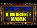 SAGITTARIO: L'UNIVERSO HA FINALMENTE SBLOCCATO CIÒ CHE FRENAVA IL TUO DESTINO ✨🧿