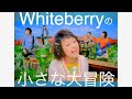 Whiteberry「Whiteberryの小さな大冒険」 MUSIC VIDEO