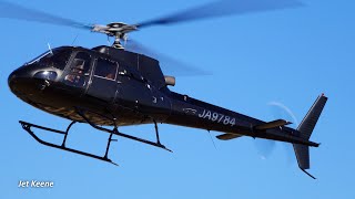 Aerospatiale AS350B Ecureuil/Squirrel AStar / Airbus Helicopters H125 Landing & Takeoff